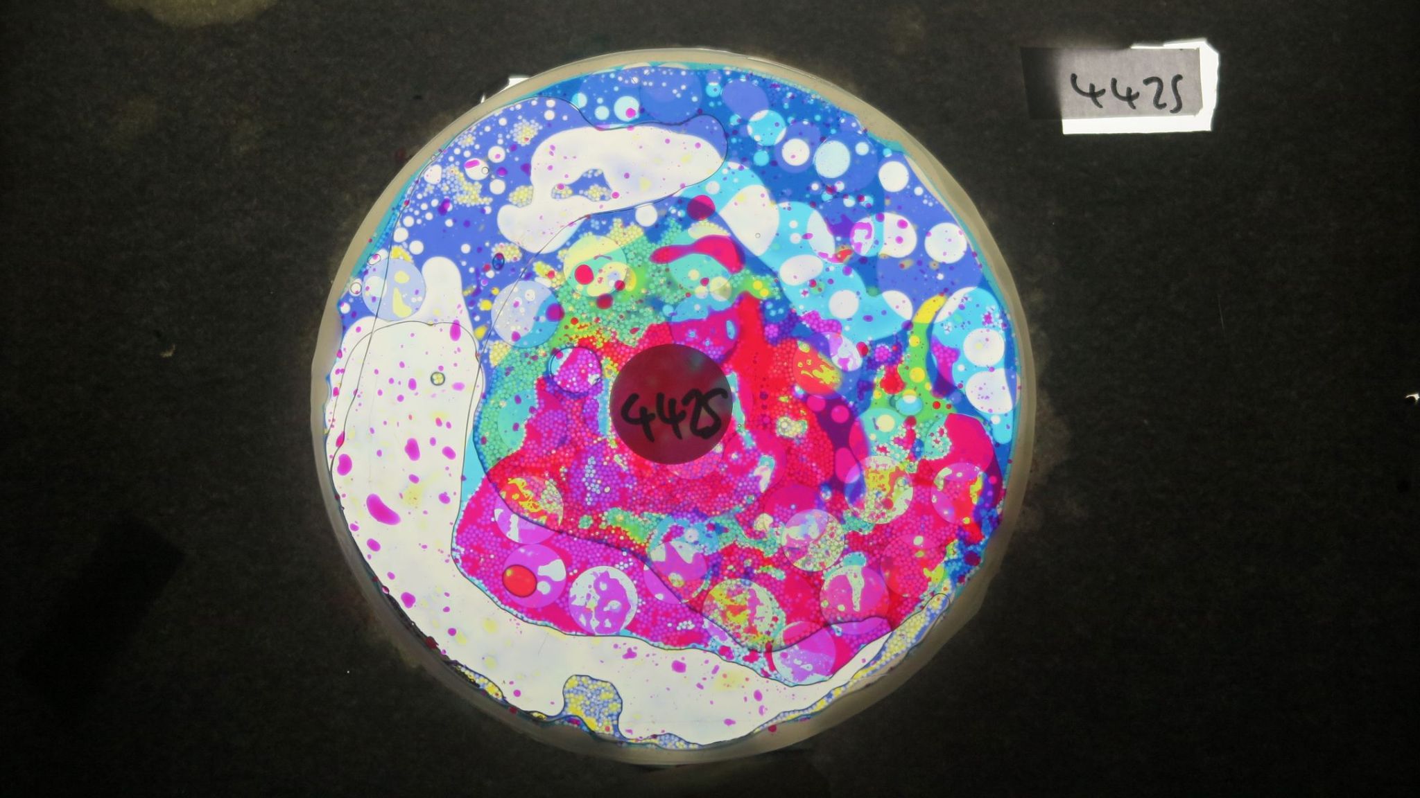 BV4425 bubble vision oil wheel